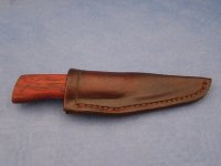 Koral3 (800 x 600).jpg