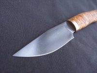 Bilder maserspitzerl tageslicht 016.jpg