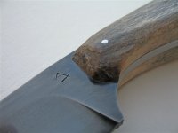 IMG_0156.JPG