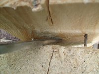 MessertestArminDrummBirne 004.jpg