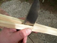 MessertestArminDrummBirne 013.jpg