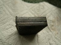 P1000444.JPG