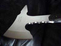 busse_LE_special 007klein.JPG