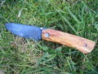 IMG_0046 (Medium).JPG