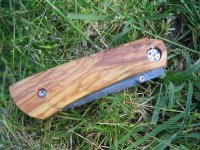 IMG_0047 (Medium).JPG