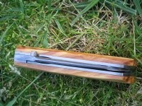 IMG_0048 (Medium).JPG