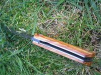 IMG_0050 (Medium).JPG