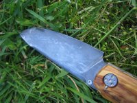 IMG_0052 (Medium).JPG