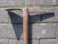 Pickel (1).jpg