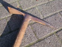Pickel (3).jpg