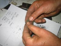 IMG_5298_Bildgröße ändern.JPG
