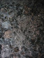 IMG_5336_Bildgröße ändern.JPG