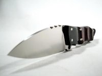 Mic Red-Blk G10 D2 03.JPG