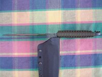 Mic 016.jpg