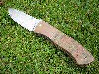 DSCN2087 (Medium).JPG