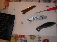 DSC07667.jpg