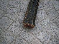 PICT0003.jpg