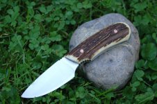 Hirschhornnicker_5.jpg