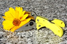 IMG_2361klein.jpg