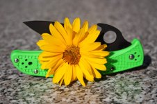 IMG_2371klein.jpg