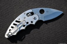 C98P Poliwog 002.JPG
