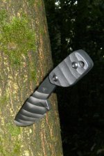 wald.jpg