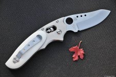 C114WMP Phoenix 002.jpg