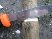 Mora orange-grün 02.jpg