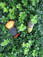 Mora orange-grün 03.jpg