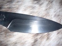 DSCN2312 (Medium).JPG