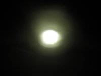 Bild 010.jpg
