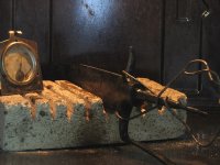 IMG_5796_Bildgröße ändern.JPG