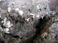 Luppenmaterial Knüchel-Ziegeweidt 002.jpg