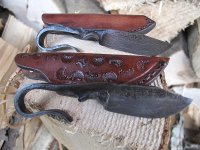 IMG_0231.jpg