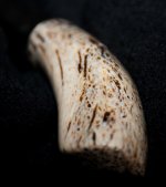 _DSC8894.jpg