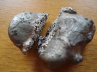 DSC05226 neu.jpg