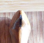 100_1601.JPG
