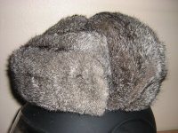 hase_002_800x600.jpg