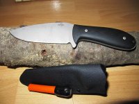 Schanz R.jpg