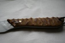 IMG_0718.jpg