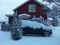 schnee2.jpg