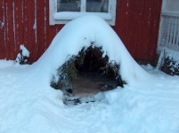 schnee3.jpg