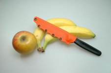 DSC_2828.jpg