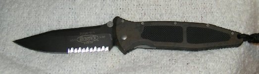 camo1.JPG