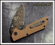 ar_coyote_3.jpg