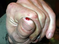 Tag_05_Bild_15.jpg
