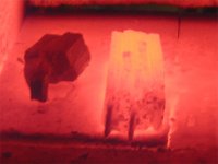 Tag_06_Bild_04.jpg