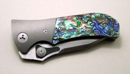 mtx abalone 4.JPG
