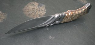 molare8_0001.jpg