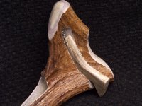 Hunter_002.jpg